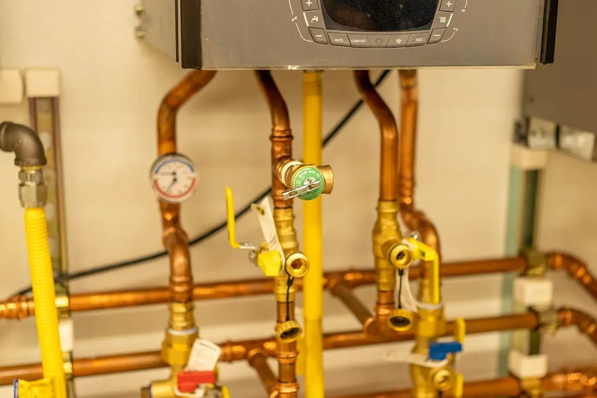 Licensed technician providing Emergency Plumbing for a homeowner in Goodview